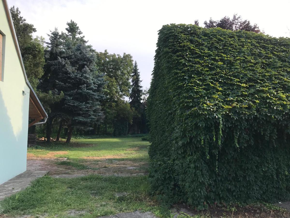 Pb Urban Garden Stay With Secured Parking Szávaszentdemeter Kültér fotó